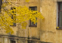 13 октября. На ковре из желтых листьев... Автор Татьяна Шепелева