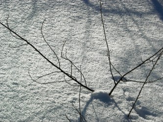 17 января. ''Белым саваном искристый снег...''. Автор Марина Вашаткина