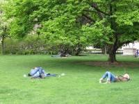 23 мая. Прогулка по маю. Австрия, Вена, отдых на траве в парке - 6 мая. Автор Полина Круглова