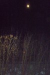 24 февраля. ''Топится, топится в огороде баня...''. Лунная ночь. Каликино, Нижегородская область. Автор Татьяна Осипова