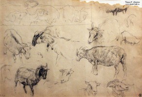 Серов В.А. (1865 – 1911). Овцы. Наброски. Бумага, карандаш. Фото Татьяны Шепелевой