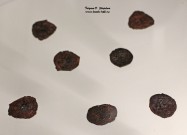 Монеты из клада: пулы Нижегородского княжества (1380-1390 гг.; медный сплав)