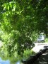 Живописные берега старого пруда в парке культуры и отдыха им. 1-го Мая. 2010 г.