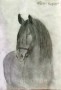 Рисунки воспитанников конно-спортивной школы