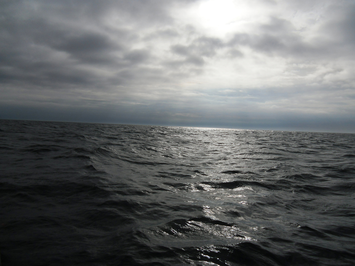 Сканди северное море. Северное море. Северное море фото. Бас. Северного моря. Северное море 013 цвет.