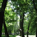 В парке культуры и отдыха им. 1-го Мая. 2010 г.