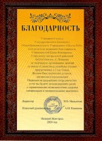 Благодарность Станишевской И.И. за творческую организацию занятий, проводимых в рамках цикла «Совместные семейные чтения». Ноябрь 2024 года