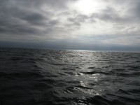 29 сентября. Всемирный день моря. В Северном море. Автор Якоб Мелем, Бремерхафен (Германия)