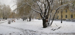 27 ноября. Здравствуй, зимушка-зима! Автор Татьяна Шепелева