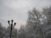 5 декабря. Под снежным пледом. Автор Татьяна Шепелева