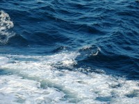 29 сентября. Всемирный день моря. В Северном море. Автор Якоб Мелем, Бремерхафен (Германия)