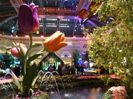 Сад Цветов отеля-казино Беладжио
