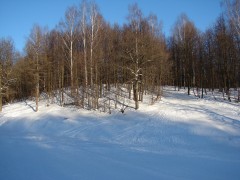 9 января. На лыжне. Автор Полина Круглова