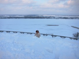 1 января. Мир уснул под снежным покрывалом. Автор Ирина Агевнина