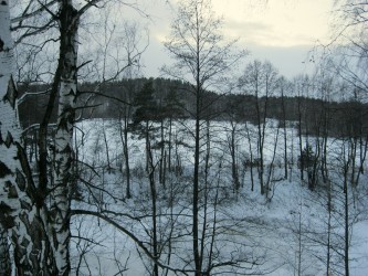4 января. Зимний лес. Автор Полина Круглова