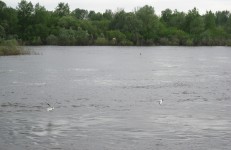 27 мая. ''Вниз по Волге реке, с Нижня Новгорода...''. Автор Татьяна Шепелева