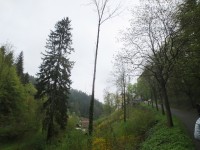 23 мая. Прогулка по маю. Чехия, близ замка Чески-Штернберг - 5 мая. Автор Полина Круглова
