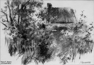 Алексей Мясников. Черёмуха. 2024. Бумага, уголь