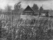 Иван Ворожейкин. Белбаж. Старая изгородь. 2024. Бумага, уголь