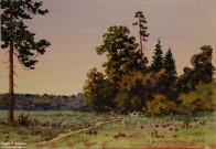 Иван Ворожейкин. Без названия. Бумага, акварель. 2025