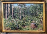 Кувшинникова С.П. (1847 – 1907). Опушка леса. 1904 г.  Фоторепродукция Татьяны Шепелевой