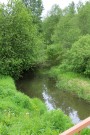 Живописные берега речки Шохонки. Фото Татьяны Шепелевой