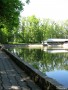 Живописные берега старого пруда в парке культуры и отдыха им. 1-го Мая. 2010 г.