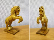 Беляев И.А. Пегас. 2004